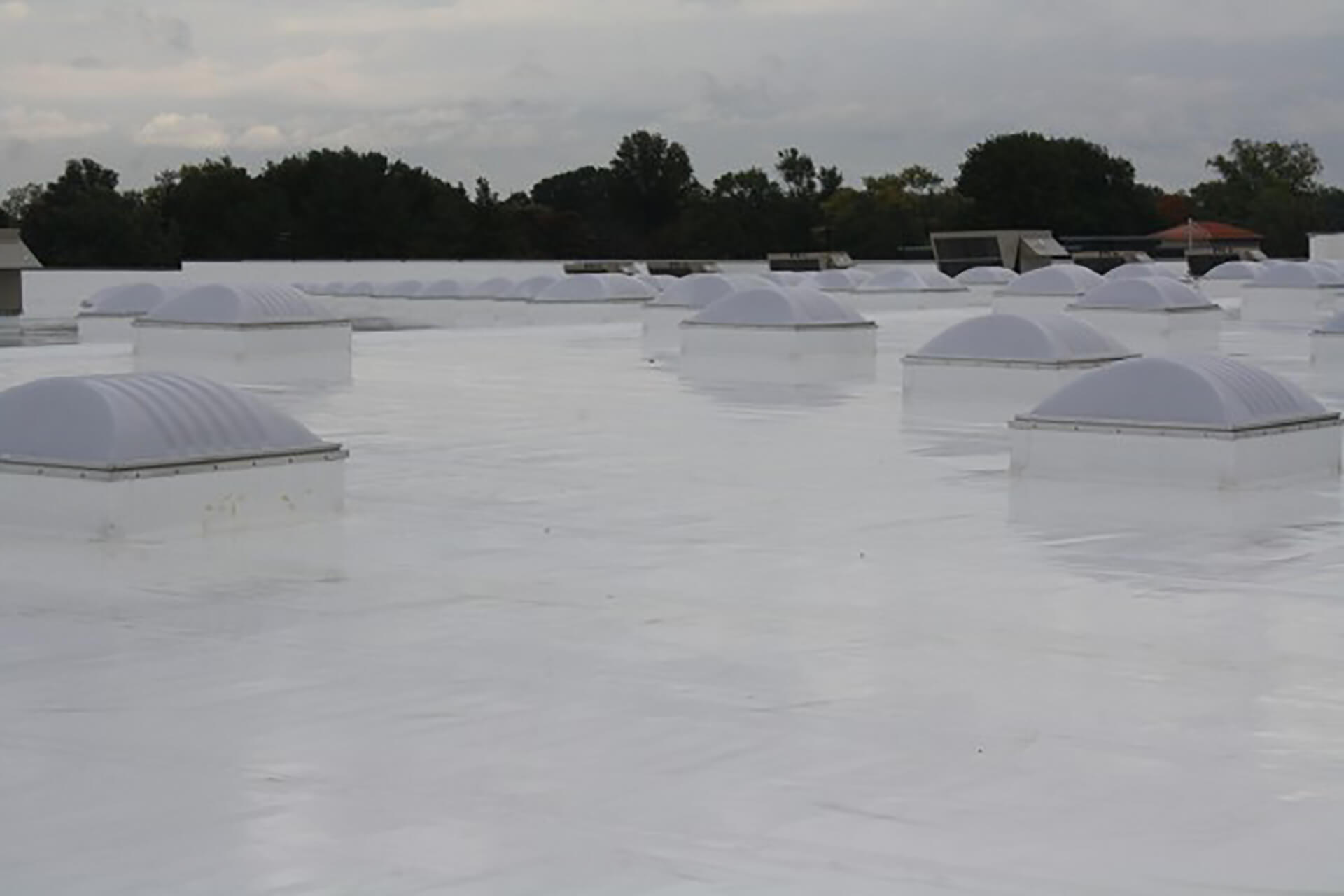 Skylights White Roof